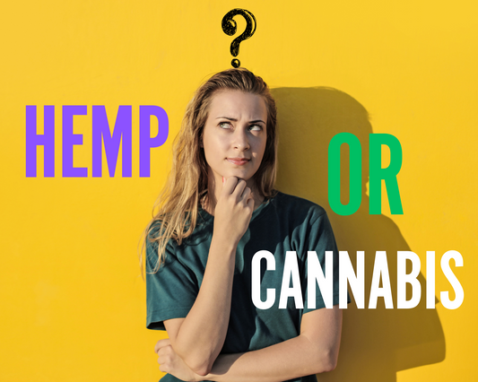 What Is the Difference Between Hemp and Marijuana?