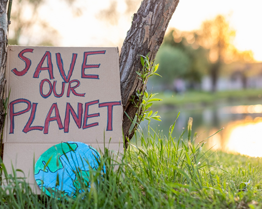 Why This Plant Could Save the World