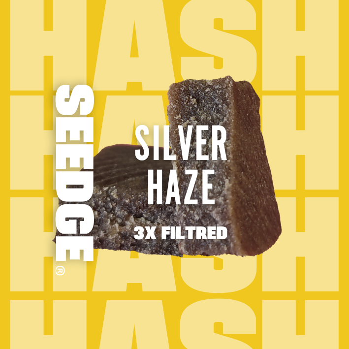 SILVER HAZE - 3x FILTRADO