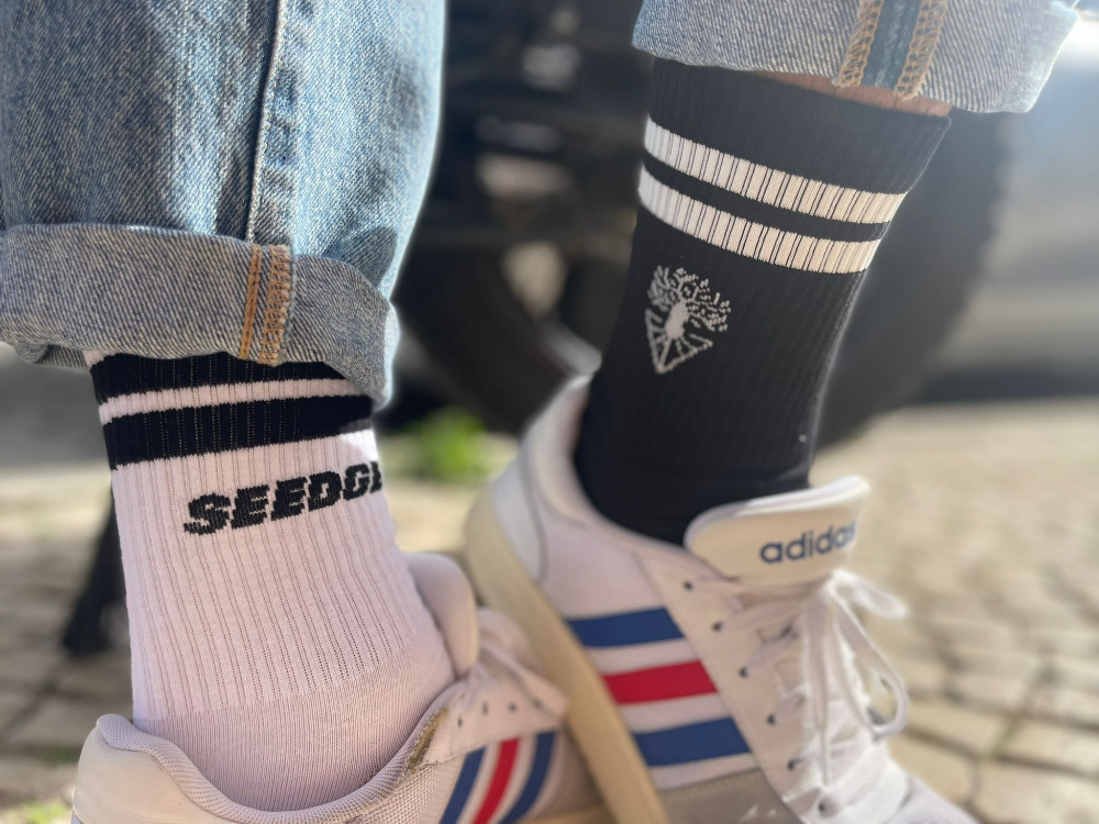 MEIA SEEDGE - 1 par ou 4 pares
