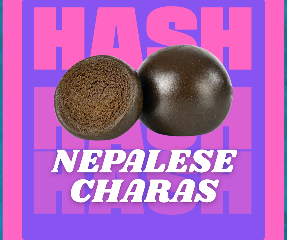 NEPALESE BALL