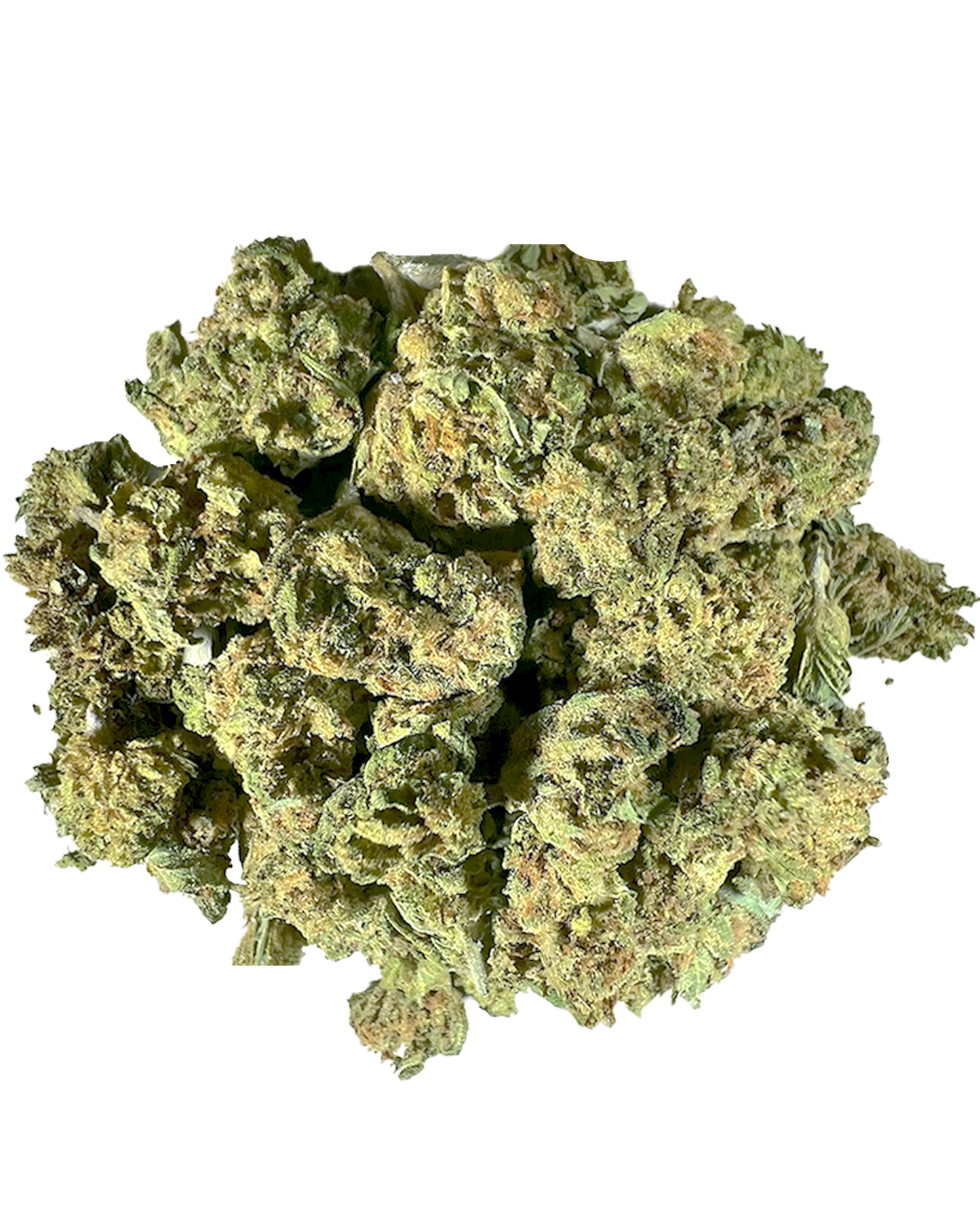 TROPICAL HAZE (Small Buds)