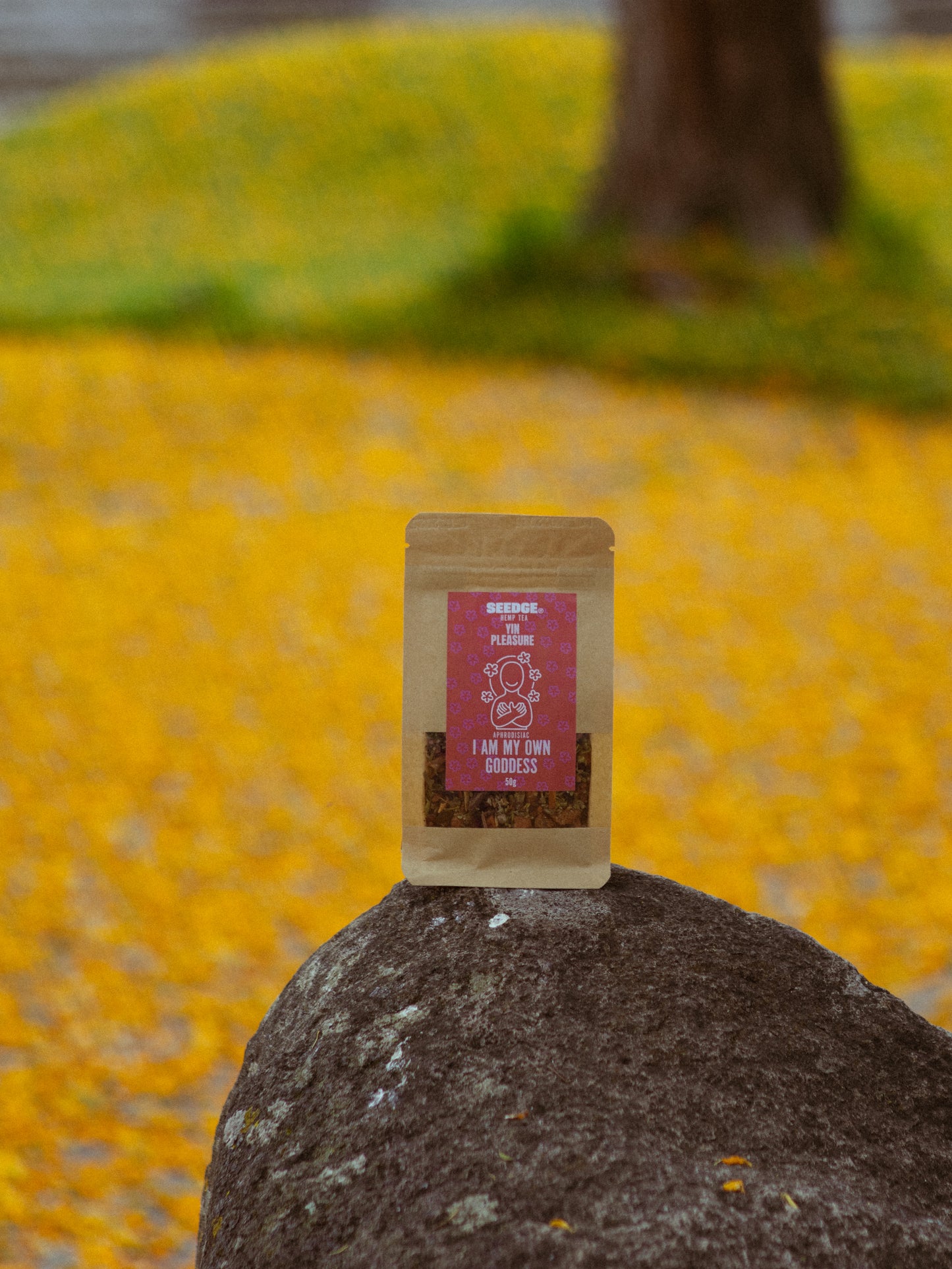 🩷 YIN PLEASURE — AFRODISÍACA | 50g