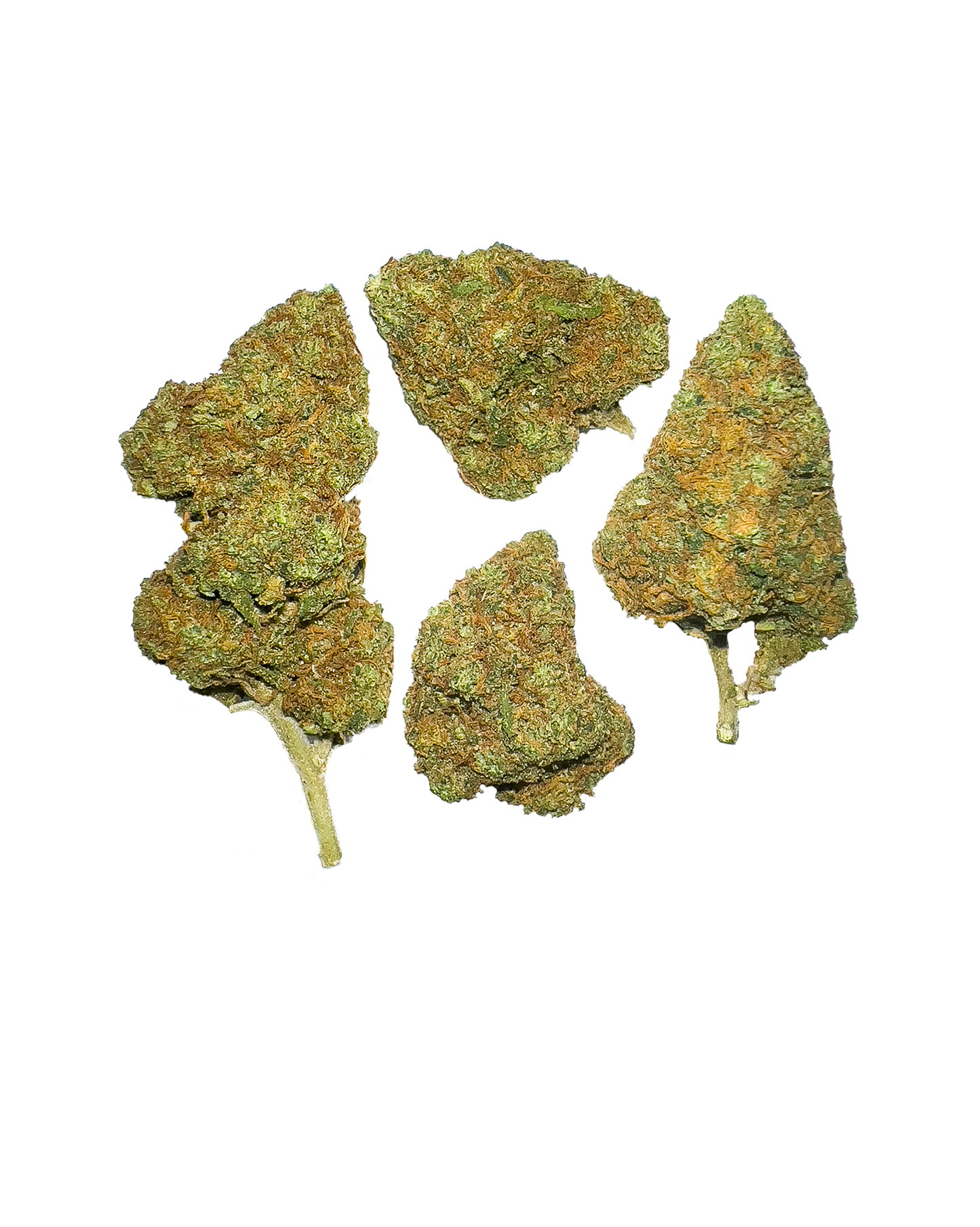 ZKITTLEZ