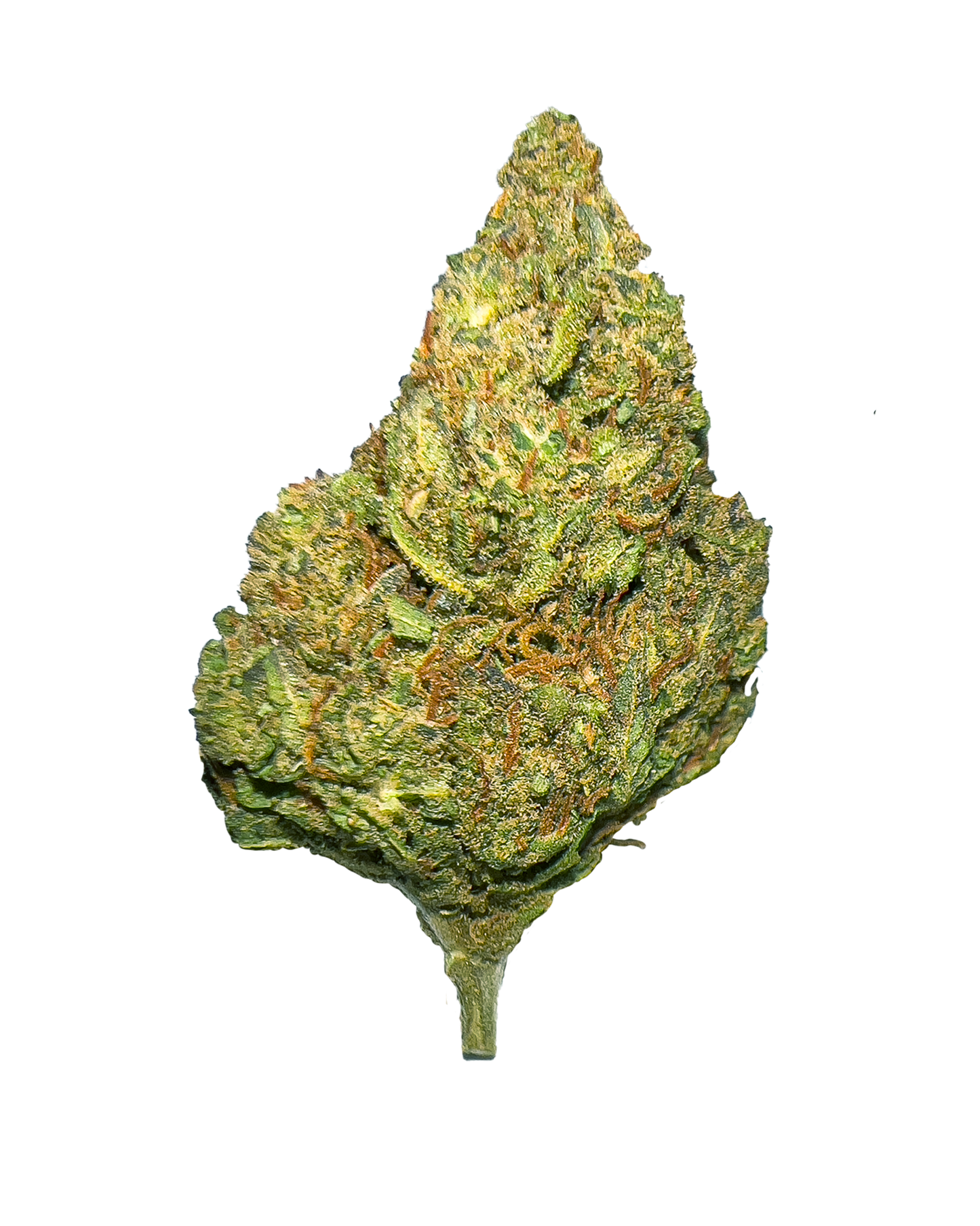 SUPER LEMON HAZE