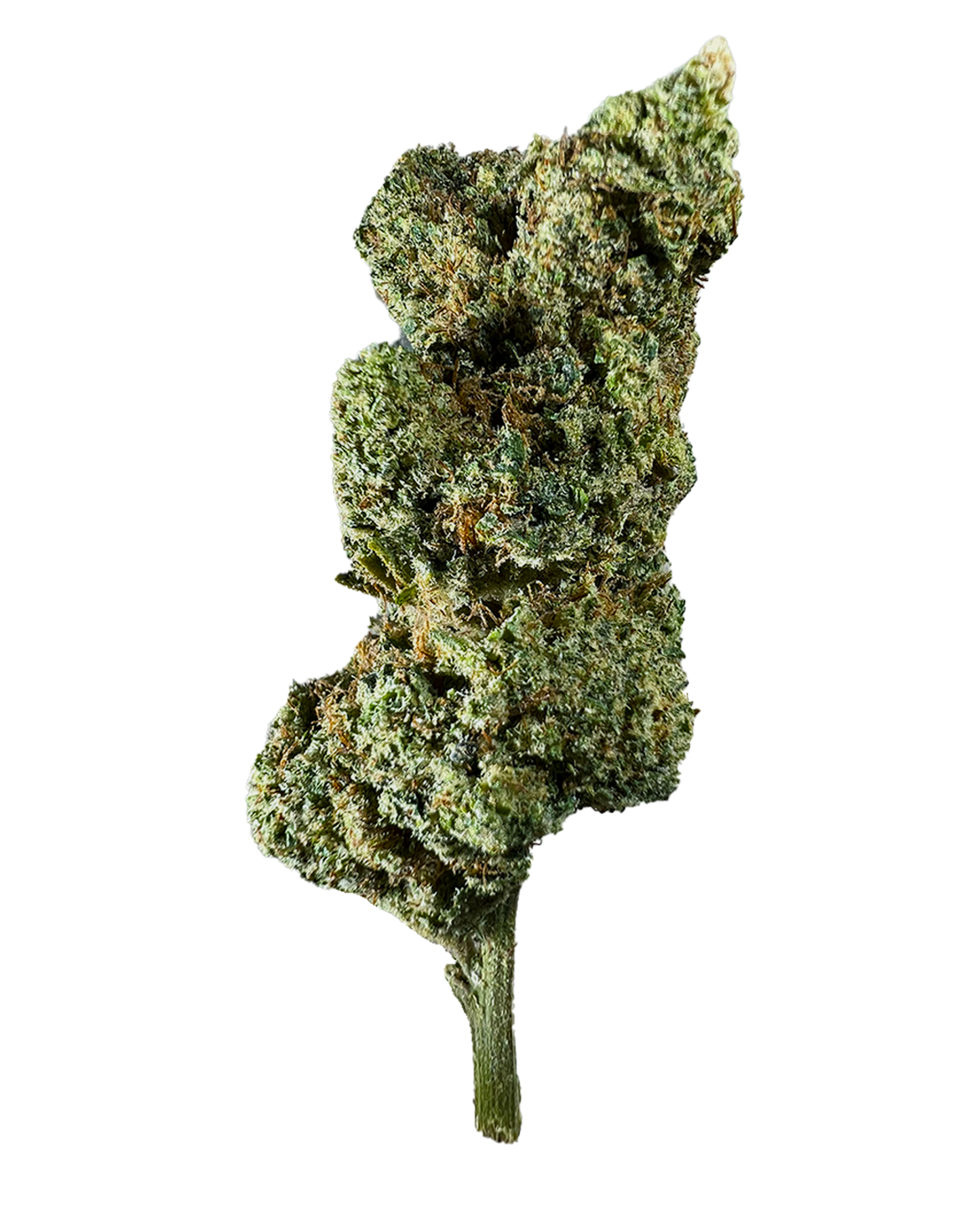 UNICORN TEAR