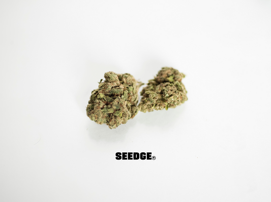 MIX SMALL BUDS - ECONOMIC PACK - 5g