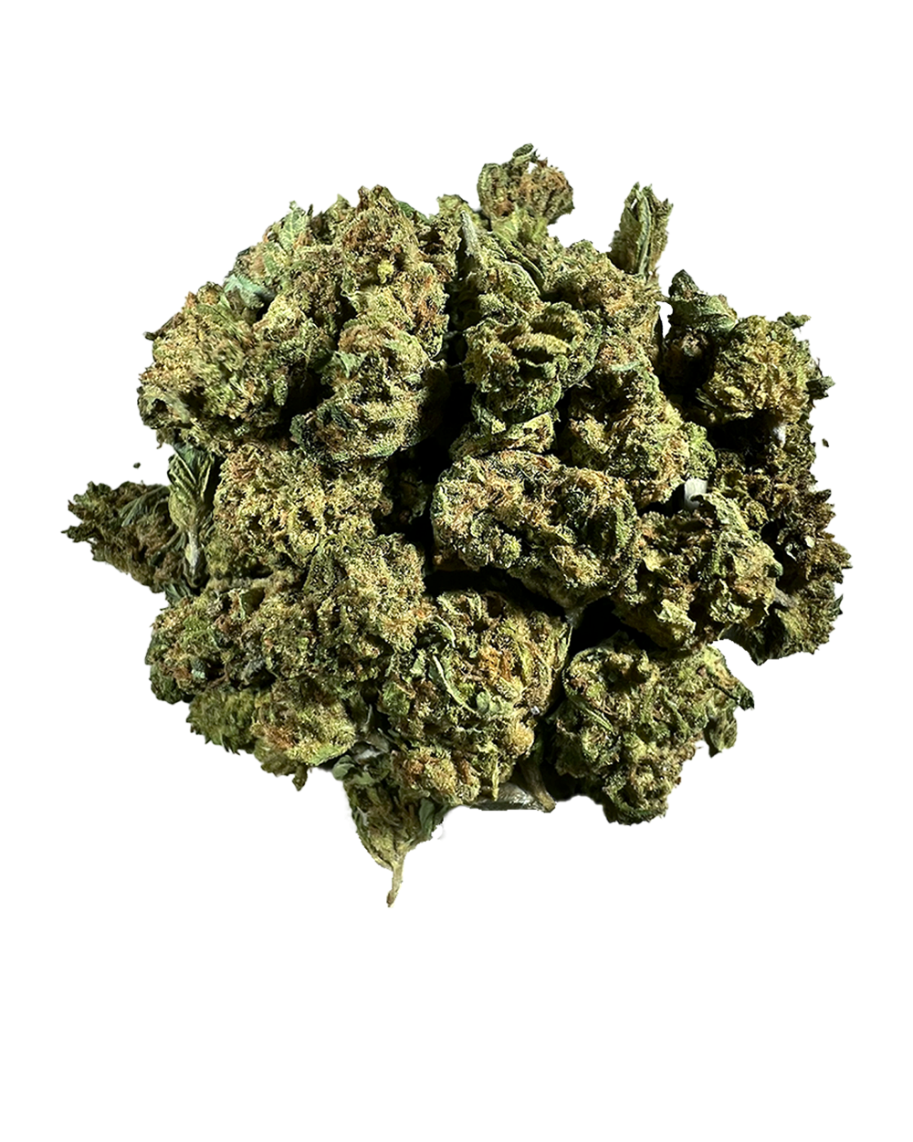 Buds Gelato 33 CBD compactos verde escuro com pistilos laranja