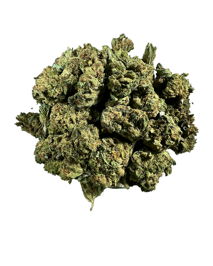 Buds Gelato 33 CBD compactos verde escuro com pistilos laranja