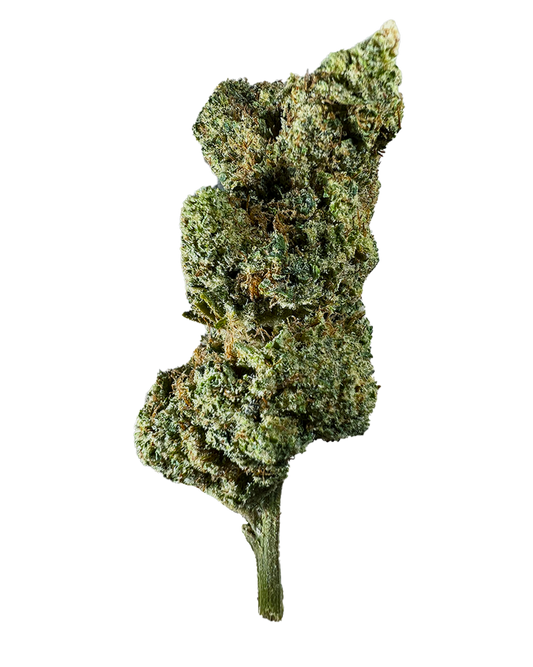 UNICORN TEAR